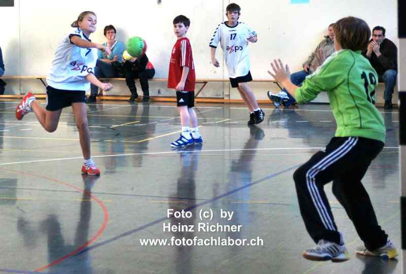 241044 handball_4.jpg